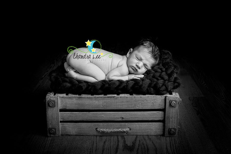 Ajax Newborn Photographer | Baby Portraits 10
