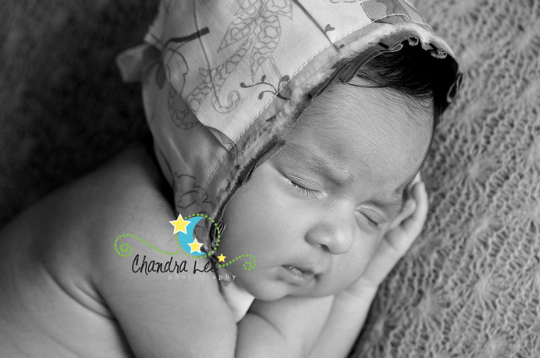 Oakville Newborn Photographer 2