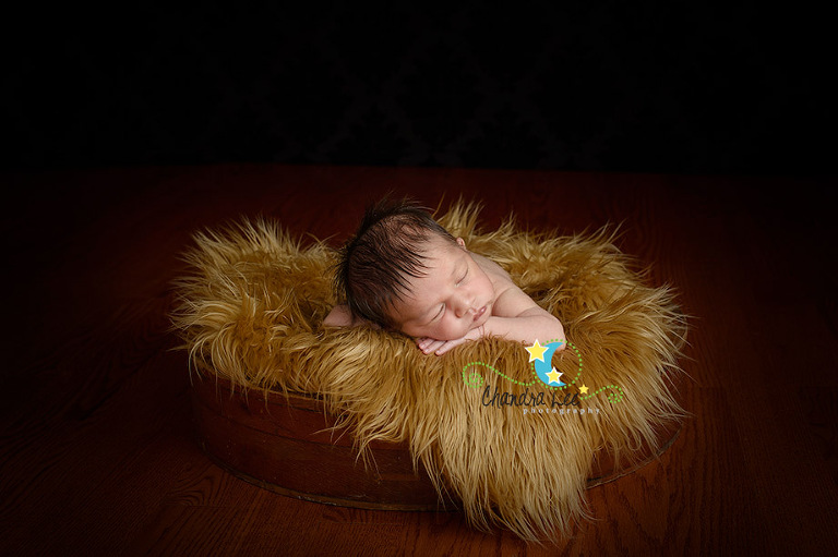 Ajax Newborn Photographer | Baby Portraits 17
