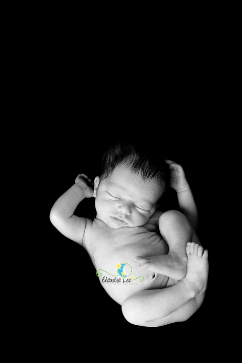 Newborn Baby Photographer Toronto