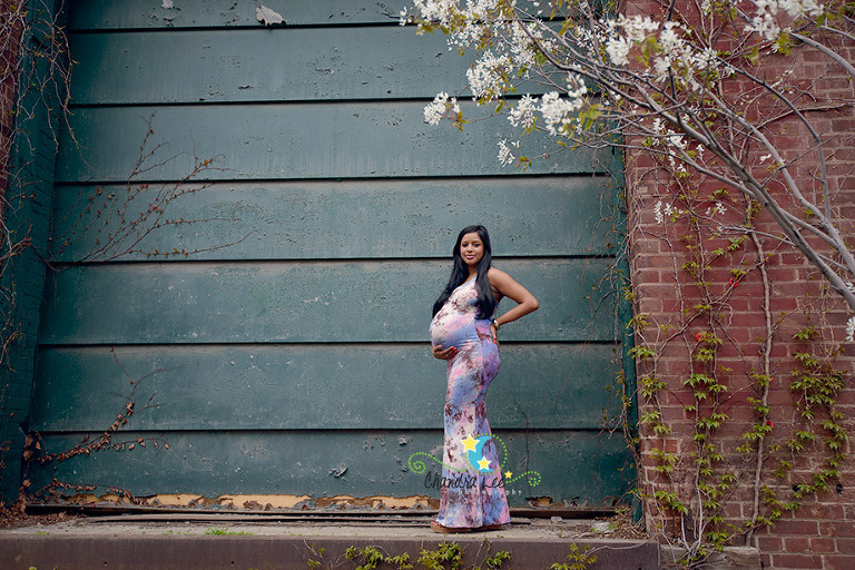 Toronto Maternity Picture with Blossoms