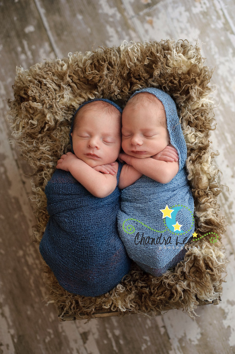 baby photography-twins-2
