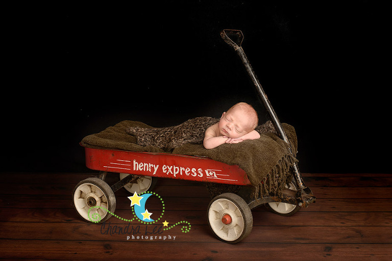 Image of a baby in Henry Express Wagon Sleeping in Toronto