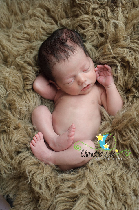 Newborn Baby Photographer Toronto-5