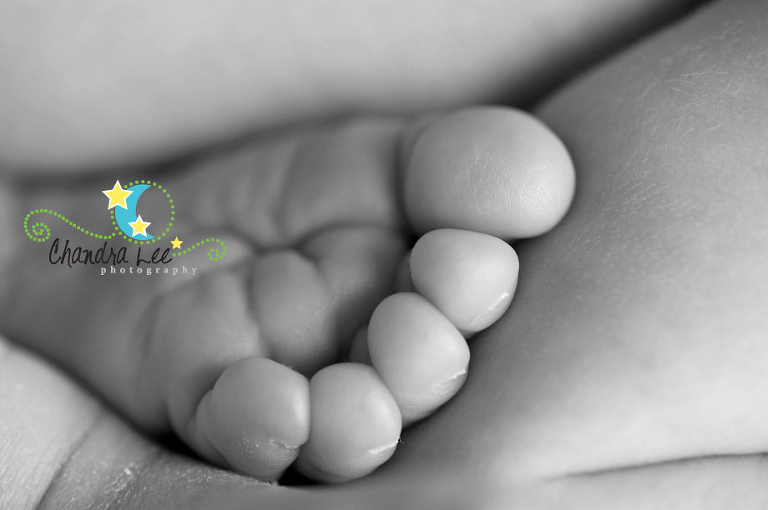 Baby Photos | Toronto Newborn Portraits -02