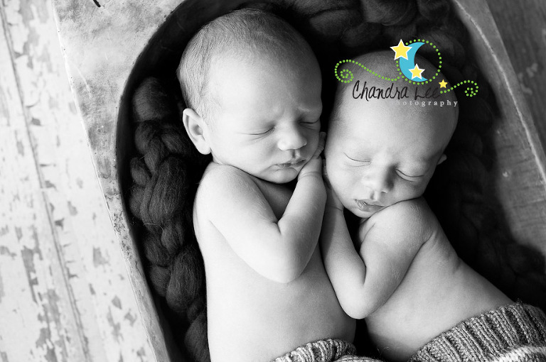 Twins | Toronto Newborn Photographer 3