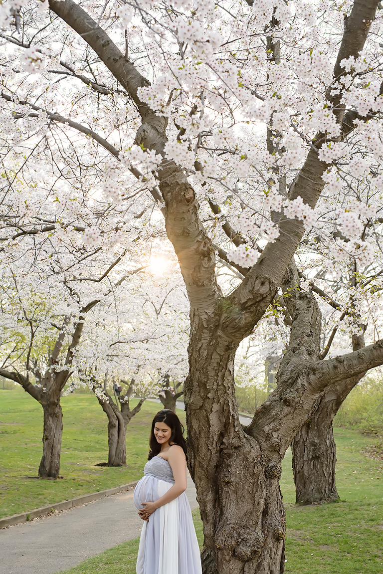Cherry Blossom Maternity Picture
